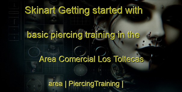 Skinart Getting started with basic piercing training in the Area Comercial Los Toltecas area | PiercingTraining | PiercingClasses | SkinartTraining-Mexico